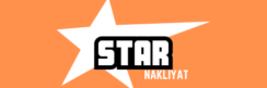 cropped black and white star y2k streetwear logo 20241203 122557 0000 2.png